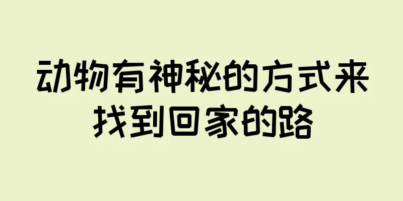 动物有神秘的方式来找到回家的路
