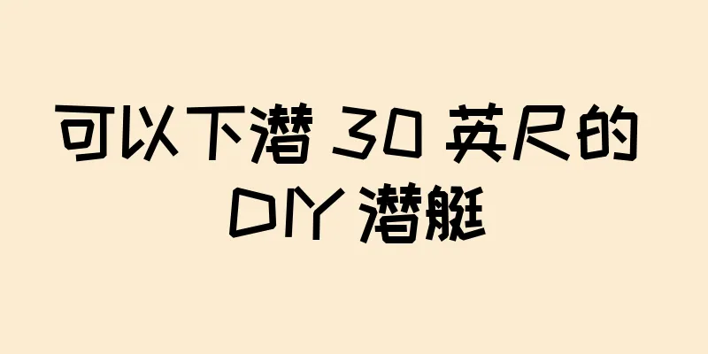 可以下潜 30 英尺的 DIY 潜艇