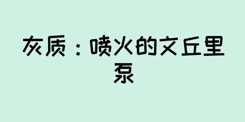 灰质：喷火的文丘里泵