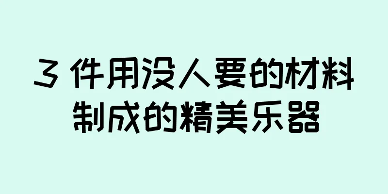 3 件用没人要的材料制成的精美乐器