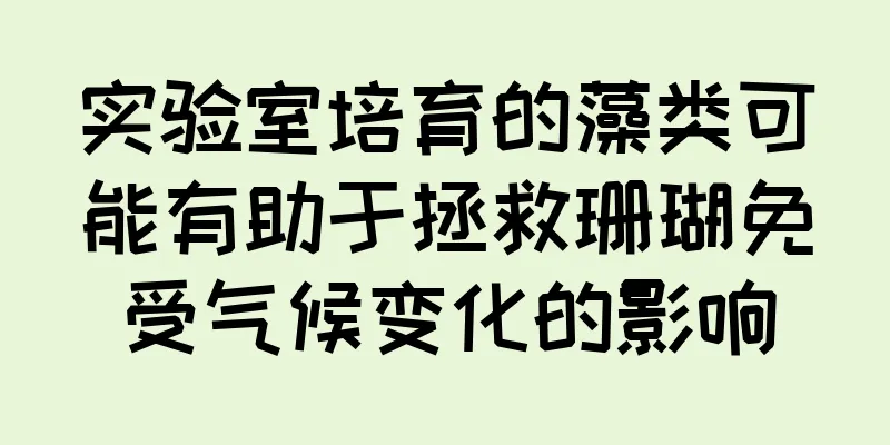 实验室培育的藻类可能有助于拯救珊瑚免受气候变化的影响