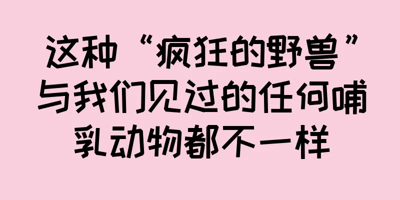 这种“疯狂的野兽”与我们见过的任何哺乳动物都不一样