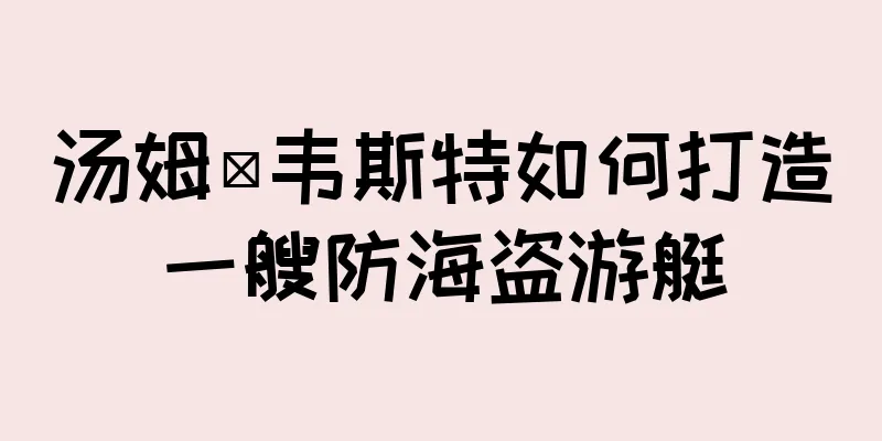 汤姆·韦斯特如何打造一艘防海盗游艇