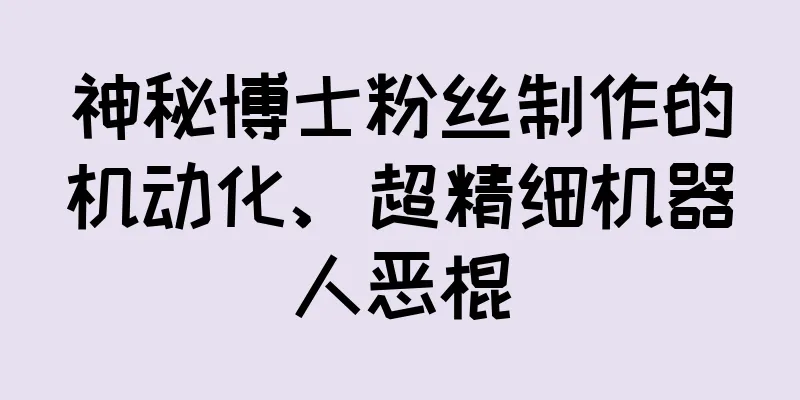 神秘博士粉丝制作的机动化、超精细机器人恶棍