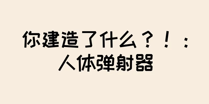 你建造了什么？！：人体弹射器