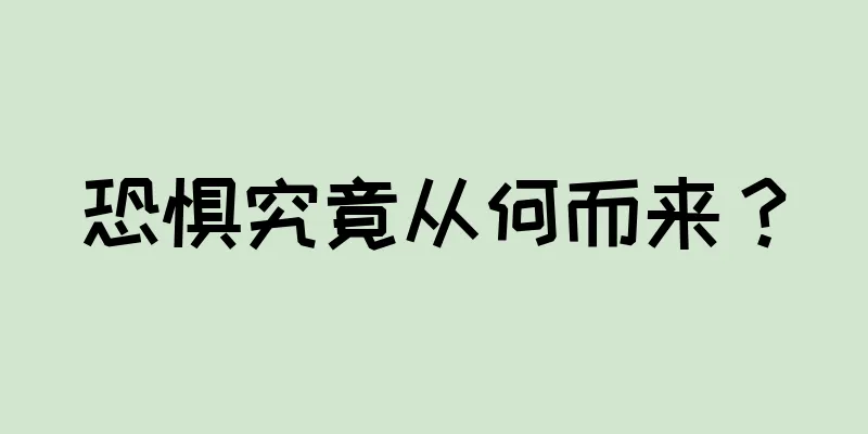 恐惧究竟从何而来？
