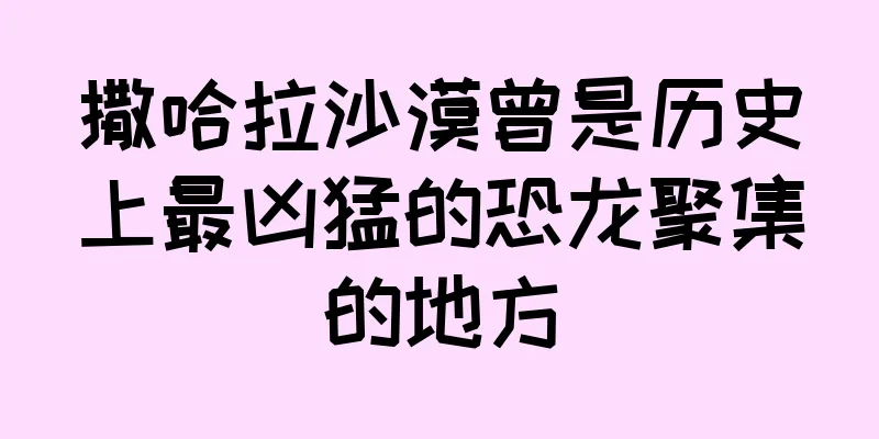 撒哈拉沙漠曾是历史上最凶猛的恐龙聚集的地方