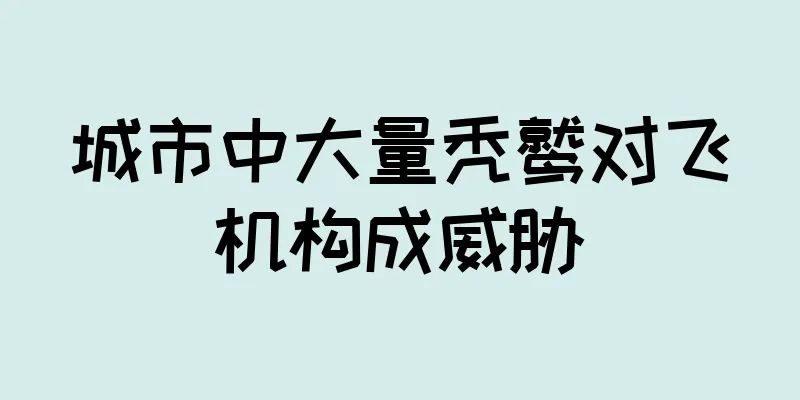 城市中大量秃鹫对飞机构成威胁