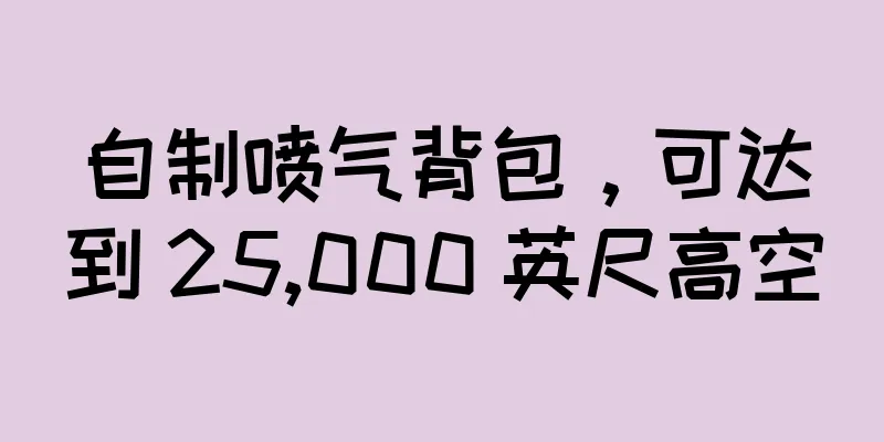 自制喷气背包，可达到 25,000 英尺高空