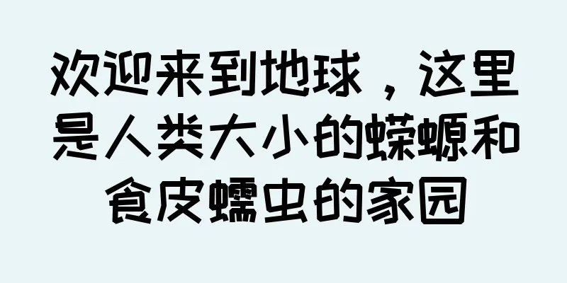 欢迎来到地球，这里是人类大小的蝾螈和食皮蠕虫的家园