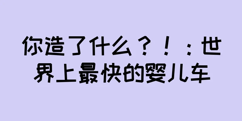 你造了什么？！：世界上最快的婴儿车