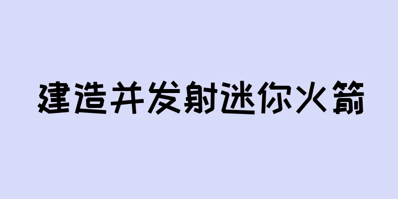建造并发射迷你火箭