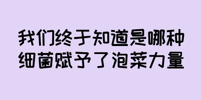 我们终于知道是哪种细菌赋予了泡菜力量
