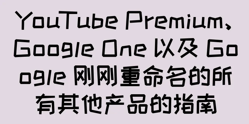 YouTube Premium、Google One 以及 Google 刚刚重命名的所有其他产品的指南