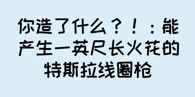 你造了什么？！：能产生一英尺长火花的特斯拉线圈枪