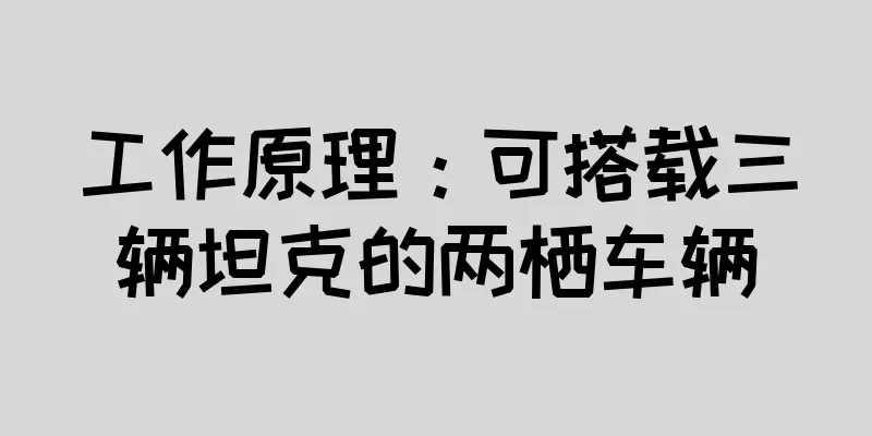 工作原理：可搭载三辆坦克的两栖车辆