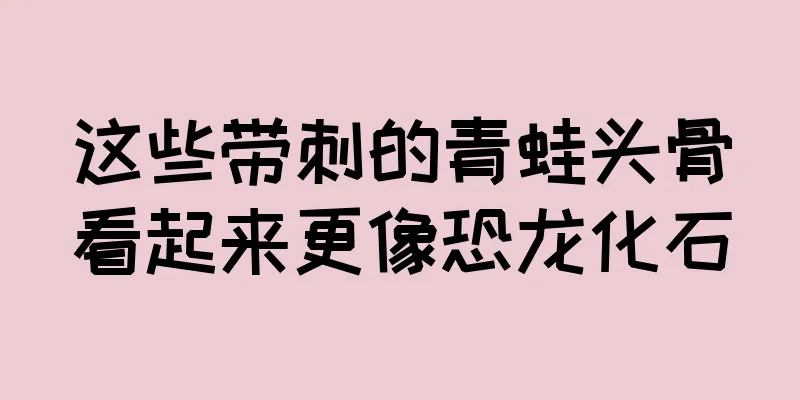 这些带刺的青蛙头骨看起来更像恐龙化石