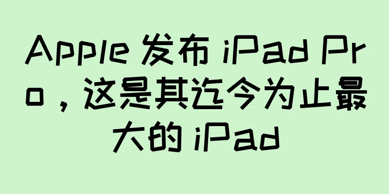 Apple 发布 iPad Pro，这是其迄今为止最大的 iPad