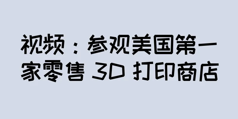 视频：参观美国第一家零售 3D 打印商店