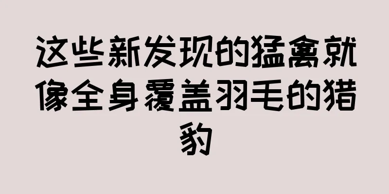 这些新发现的猛禽就像全身覆盖羽毛的猎豹