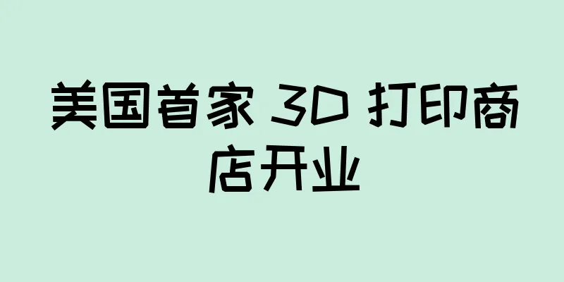 美国首家 3D 打印商店开业
