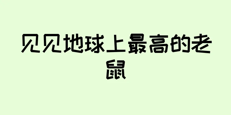 见见地球上最高的老鼠