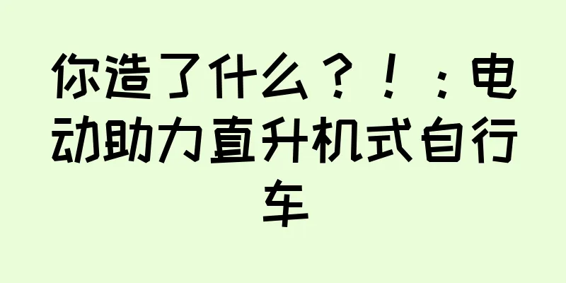 你造了什么？！：电动助力直升机式自行车