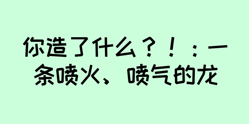 你造了什么？！：一条喷火、喷气的龙