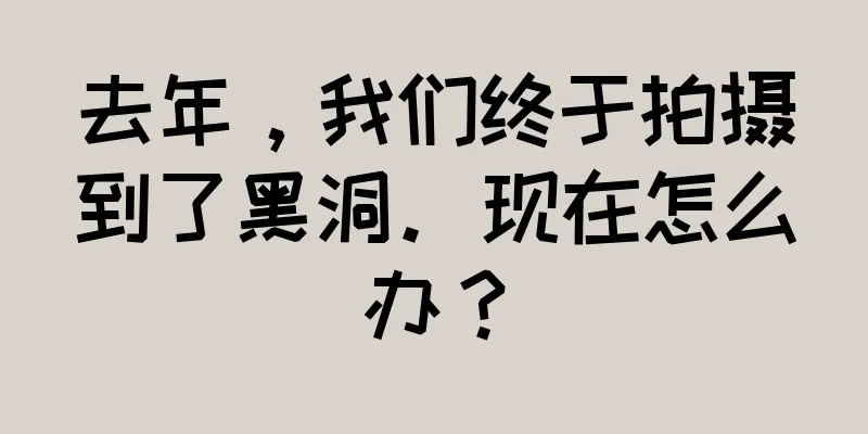 去年，我们终于拍摄到了黑洞。现在怎么办？