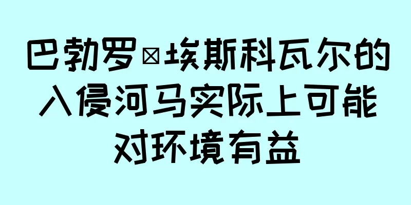 巴勃罗·埃斯科瓦尔的入侵河马实际上可能对环境有益