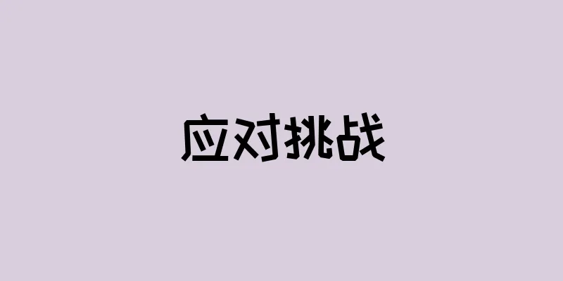 应对挑战