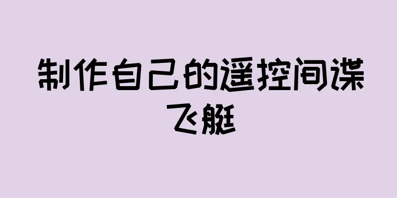 制作自己的遥控间谍飞艇