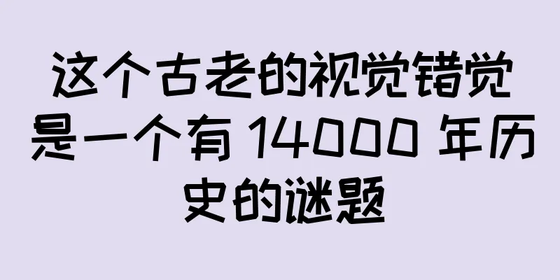 这个古老的视觉错觉是一个有 14000 年历史的谜题