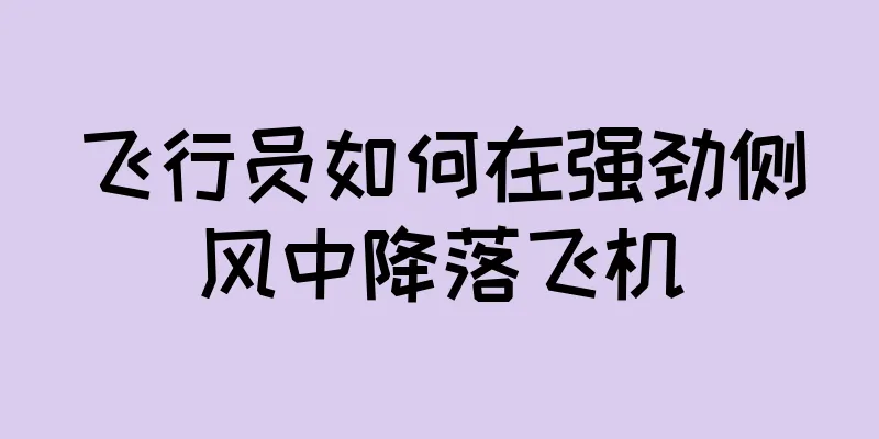 飞行员如何在强劲侧风中降落飞机