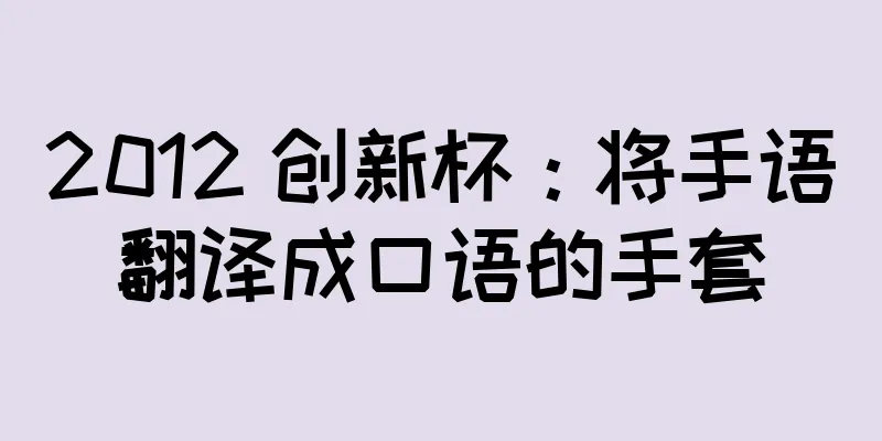 2012 创新杯：将手语翻译成口语的手套