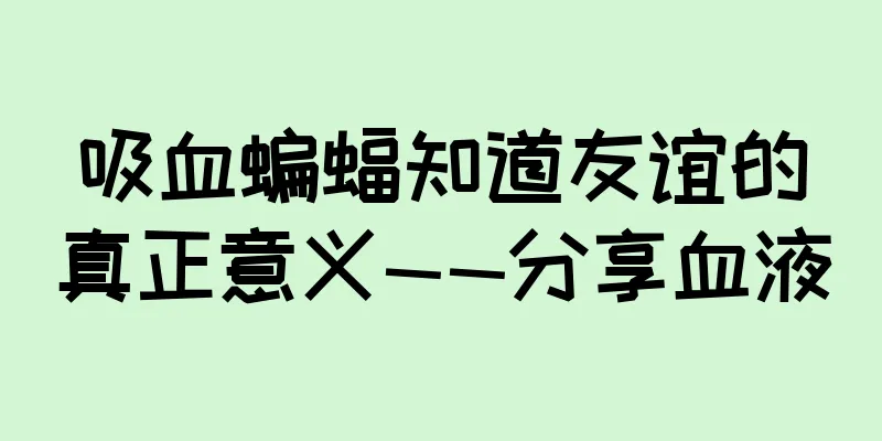 吸血蝙蝠知道友谊的真正意义——分享血液