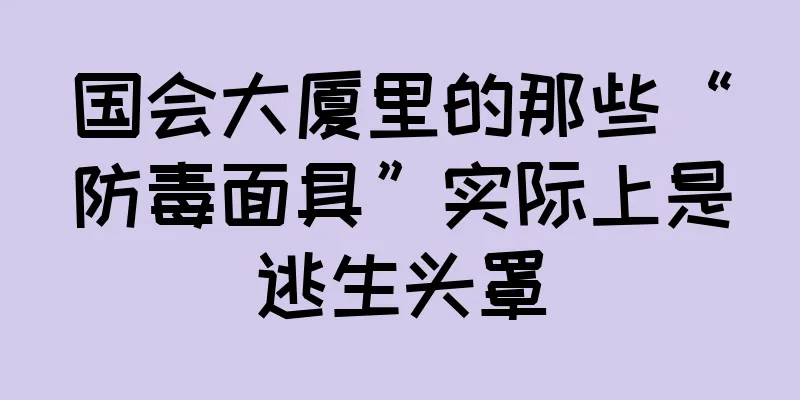 国会大厦里的那些“防毒面具”实际上是逃生头罩