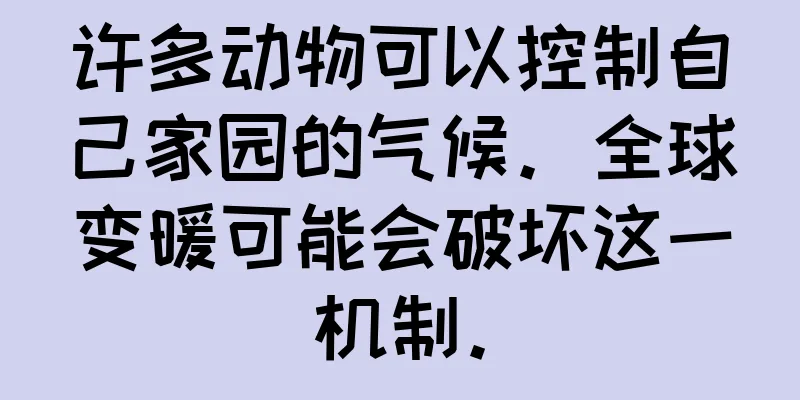 许多动物可以控制自己家园的气候。全球变暖可能会破坏这一机制。