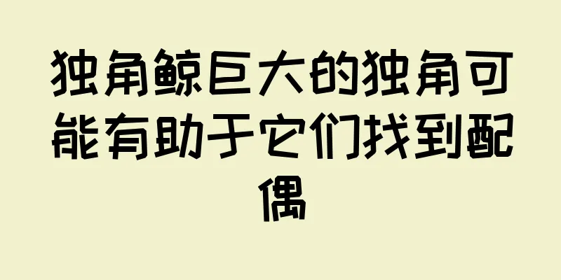 独角鲸巨大的独角可能有助于它们找到配偶