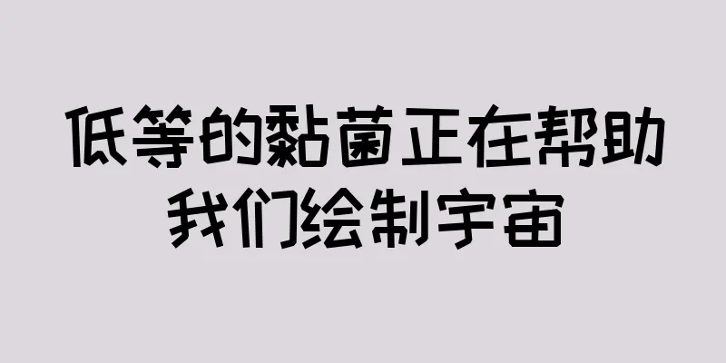 低等的黏菌正在帮助我们绘制宇宙