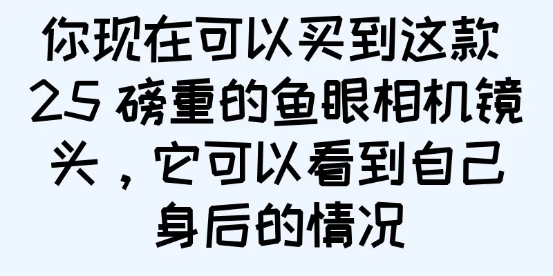 你现在可以买到这款 25 磅重的鱼眼相机镜头，它可以看到自己身后的情况