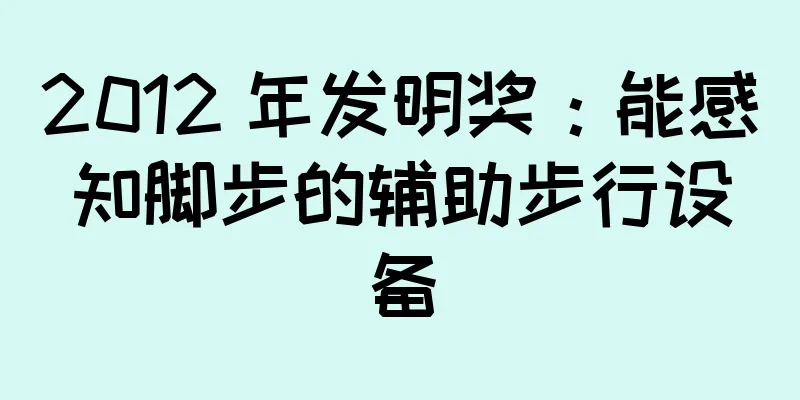 2012 年发明奖：能感知脚步的辅助步行设备