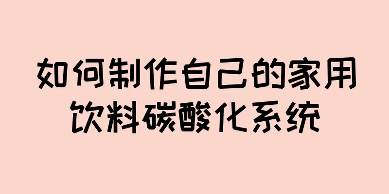 如何制作自己的家用饮料碳酸化系统
