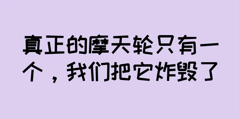 真正的摩天轮只有一个，我们把它炸毁了
