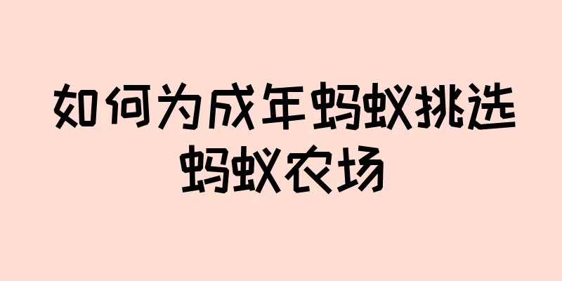 如何为成年蚂蚁挑选蚂蚁农场