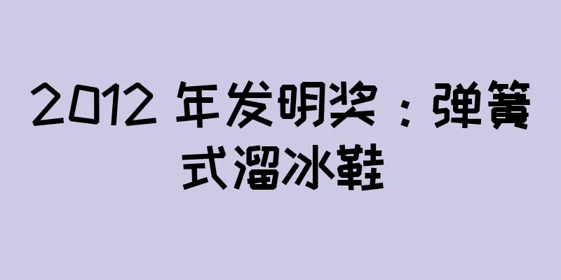 2012 年发明奖：弹簧式溜冰鞋