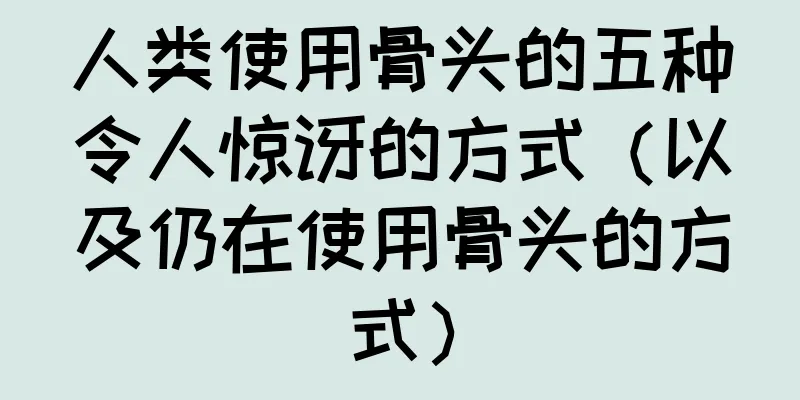 人类使用骨头的五种令人惊讶的方式（以及仍在使用骨头的方式）