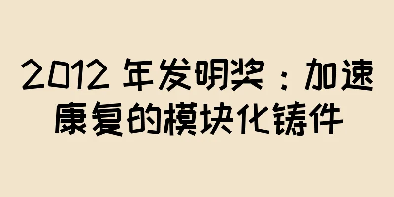 2012 年发明奖：加速康复的模块化铸件