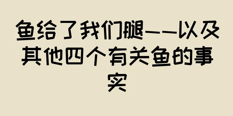 鱼给了我们腿——以及其他四个有关鱼的事实