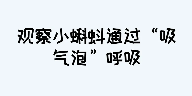 观察小蝌蚪通过“吸气泡”呼吸